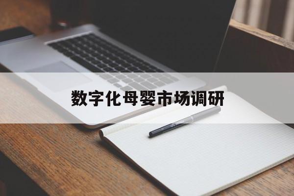 五家渠市数字化母婴市场调研(数字化母婴市场调研报告)